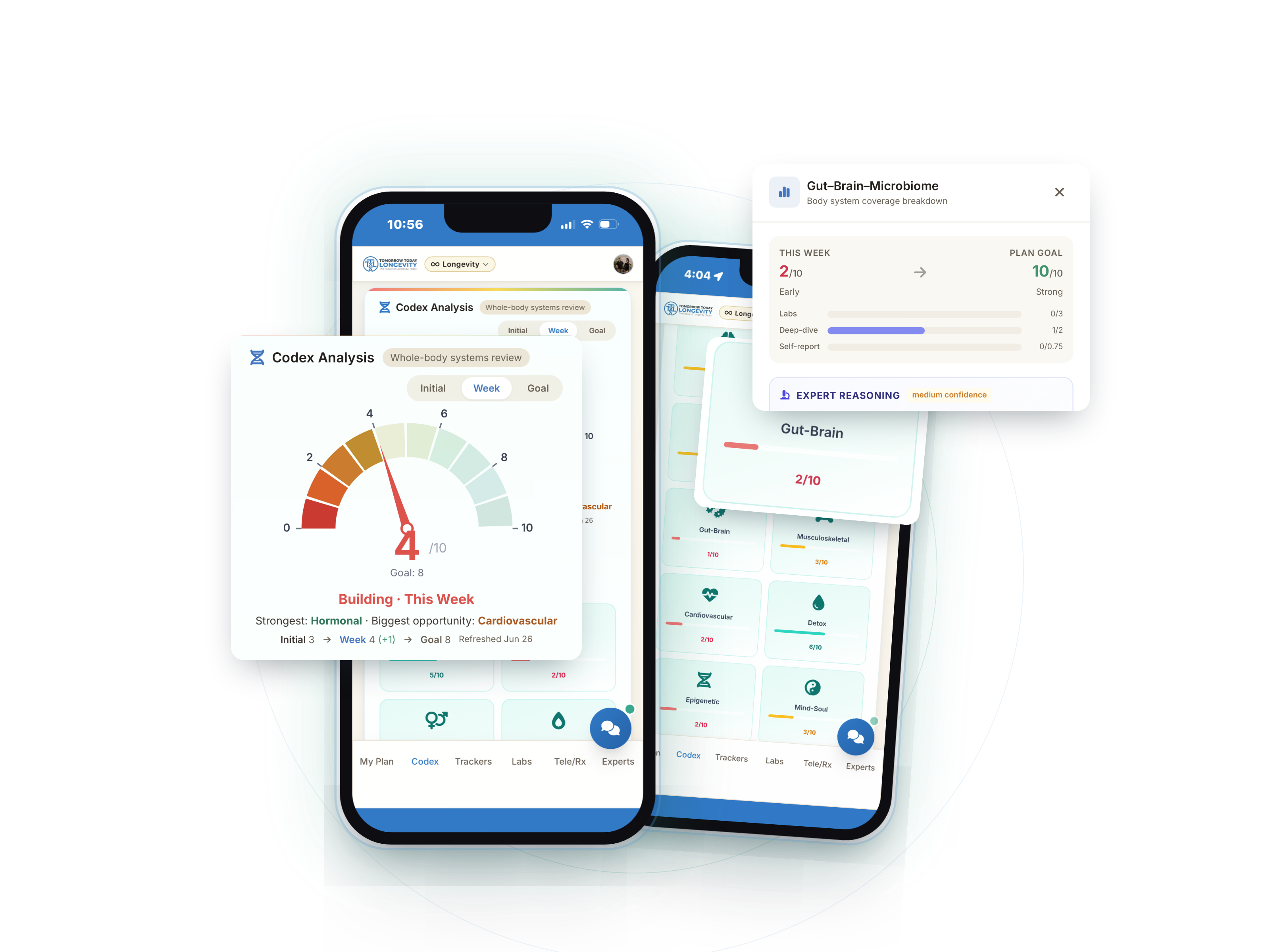 TTL app showing Codex Analysis and Body Systems on phone screens