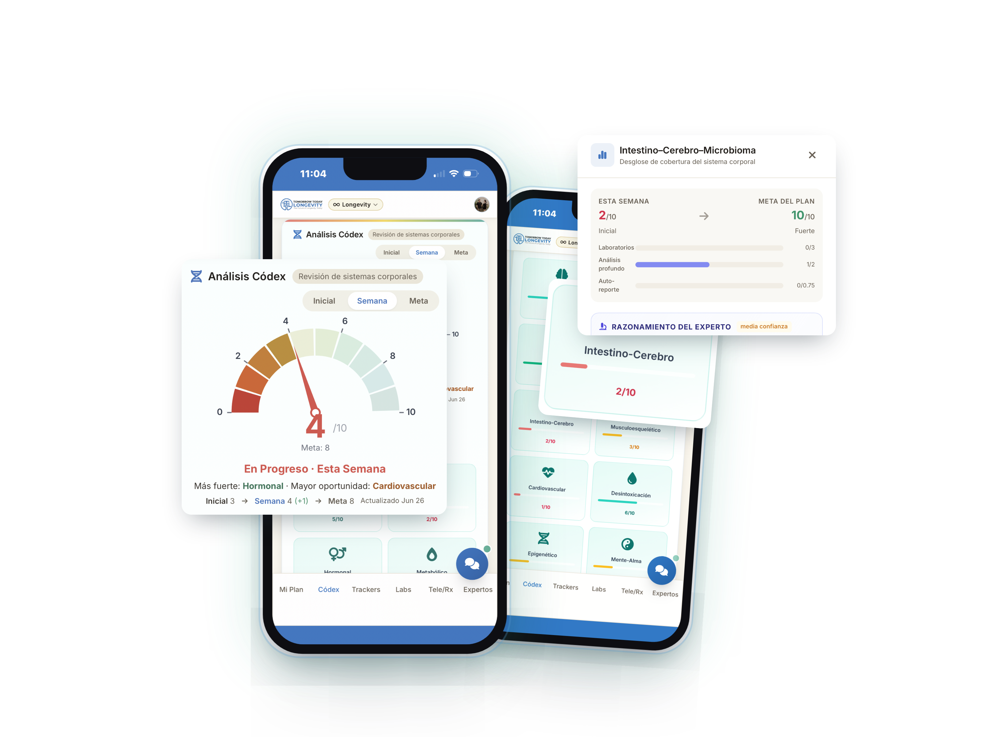 App TTL mostrando Análisis Codex y Sistemas Corporales en pantallas de teléfono